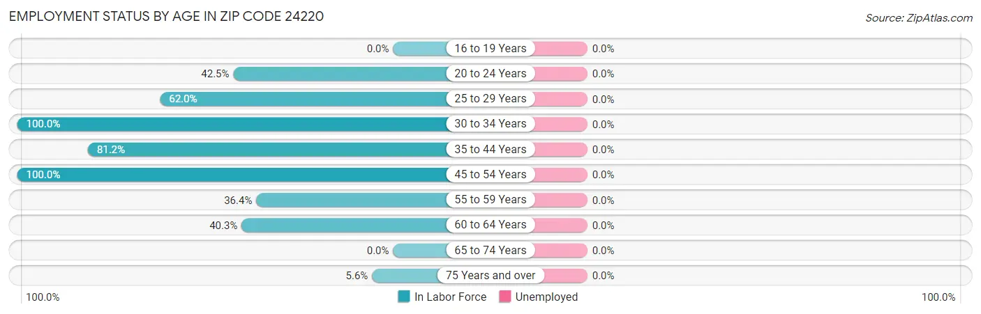 Employment Status by Age in Zip Code 24220