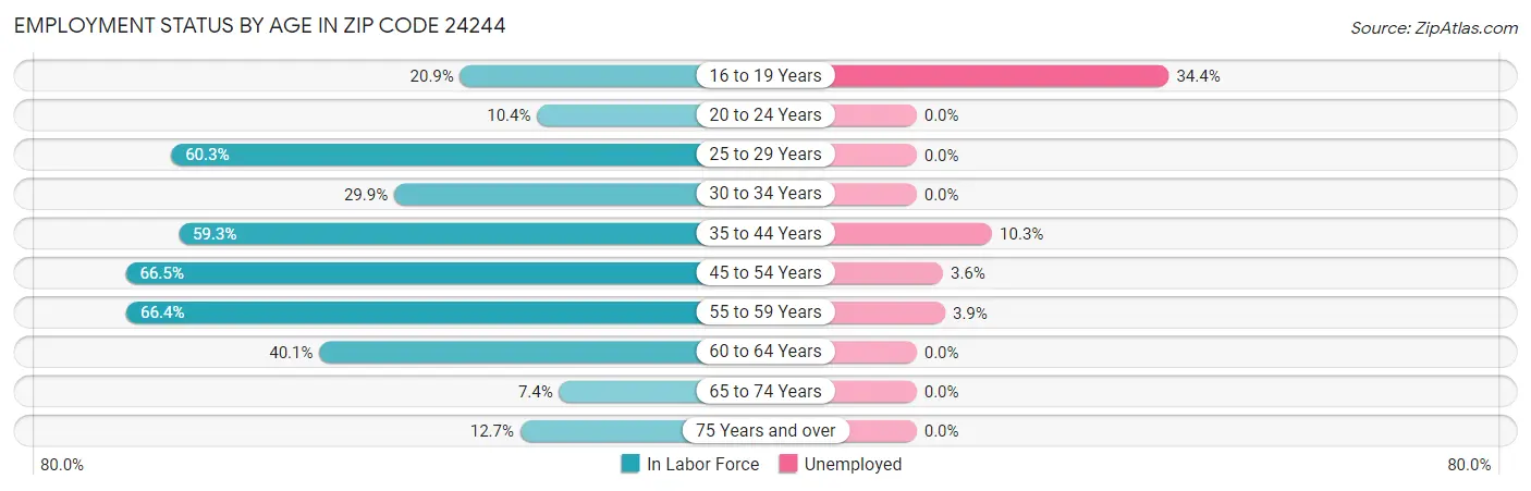Employment Status by Age in Zip Code 24244