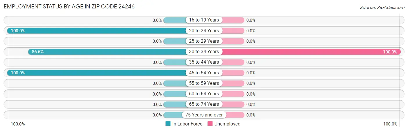 Employment Status by Age in Zip Code 24246