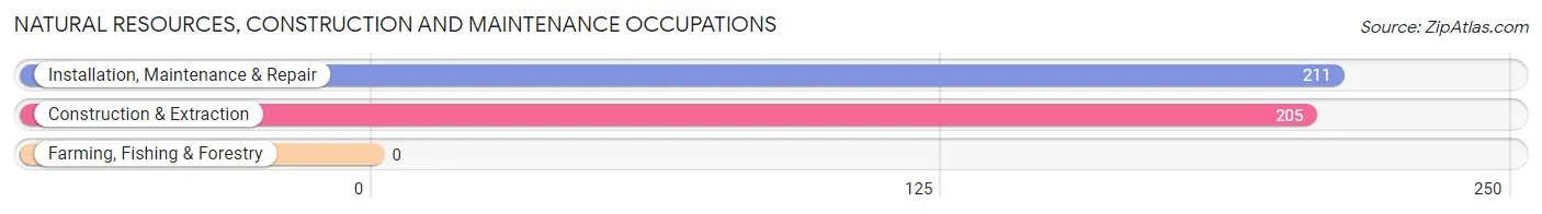 Natural Resources, Construction and Maintenance Occupations in Zip Code 24251