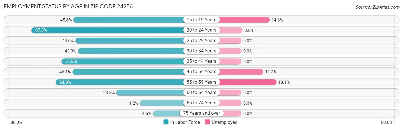 Employment Status by Age in Zip Code 24256