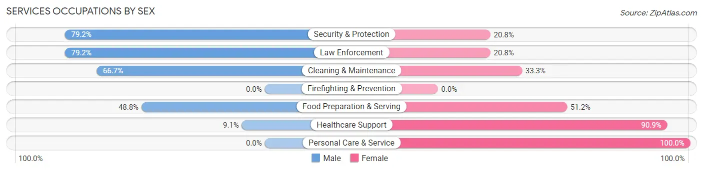 Services Occupations by Sex in Zip Code 24256