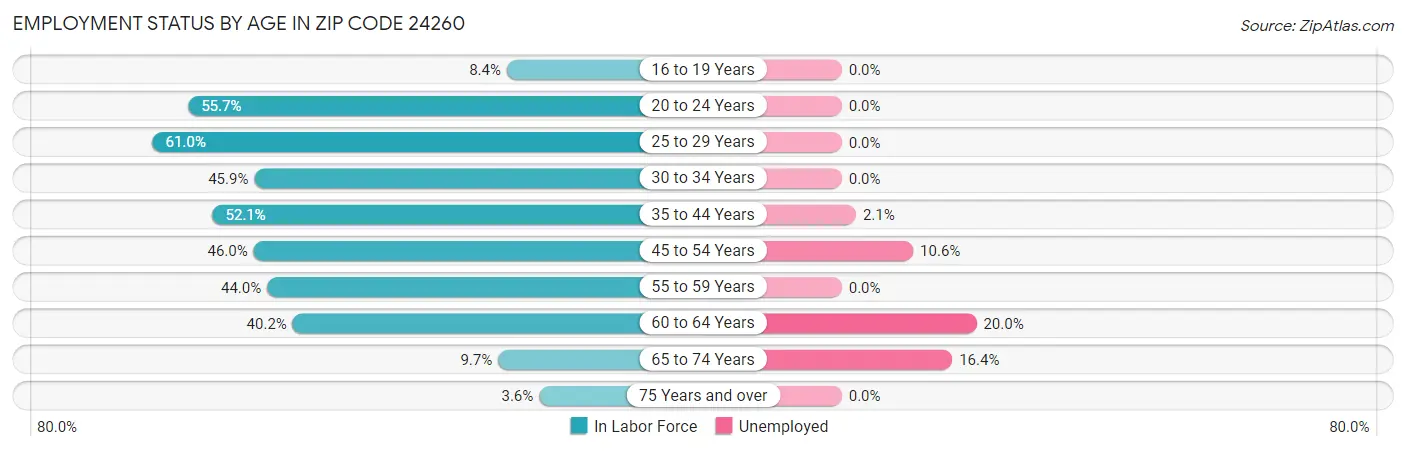 Employment Status by Age in Zip Code 24260