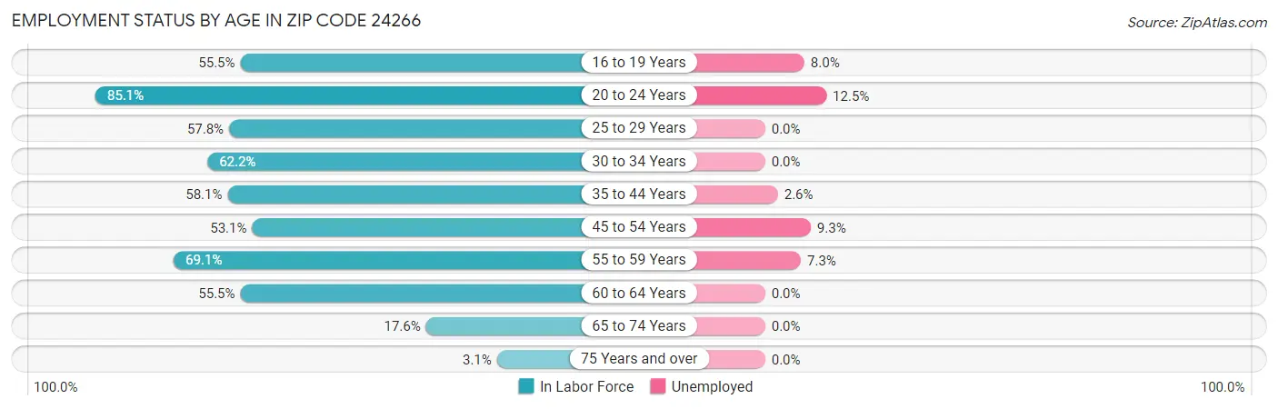 Employment Status by Age in Zip Code 24266
