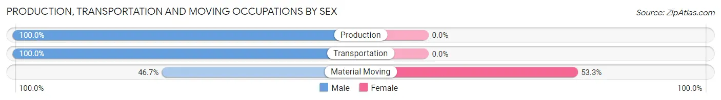 Production, Transportation and Moving Occupations by Sex in Zip Code 24283