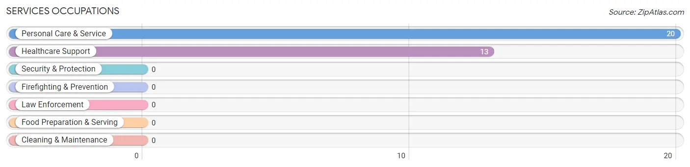 Services Occupations in Zip Code 24313