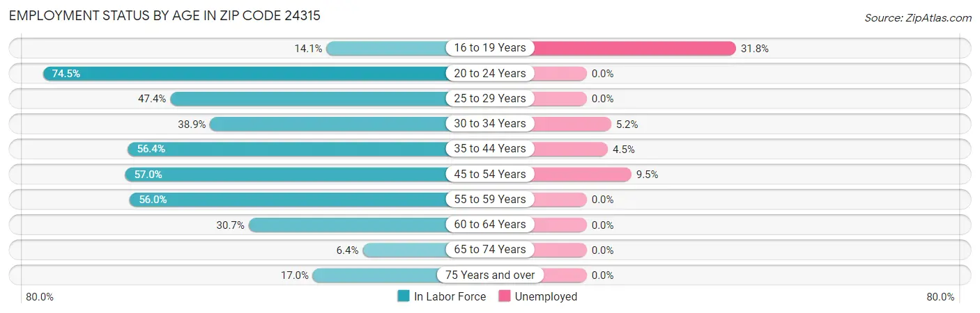 Employment Status by Age in Zip Code 24315
