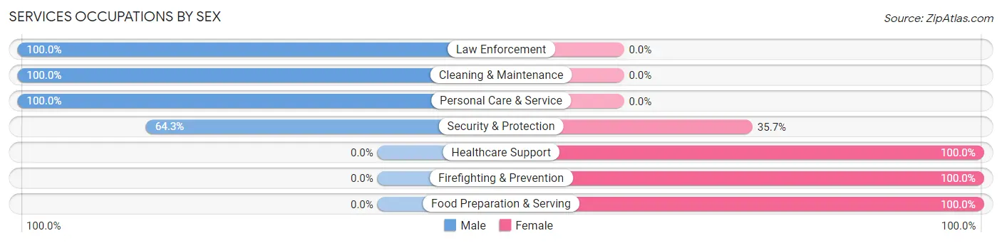 Services Occupations by Sex in Zip Code 24315