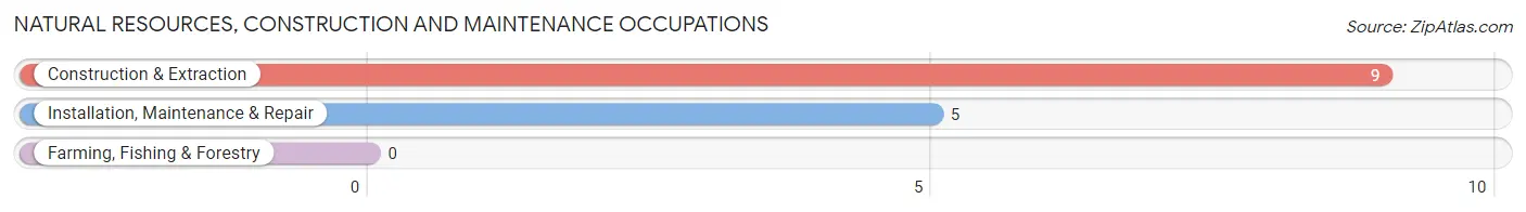 Natural Resources, Construction and Maintenance Occupations in Zip Code 24318