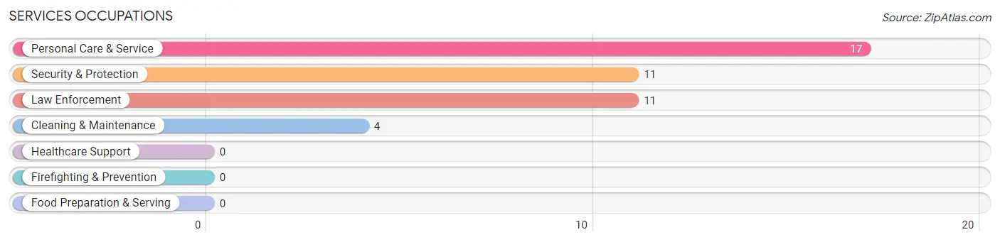 Services Occupations in Zip Code 24318