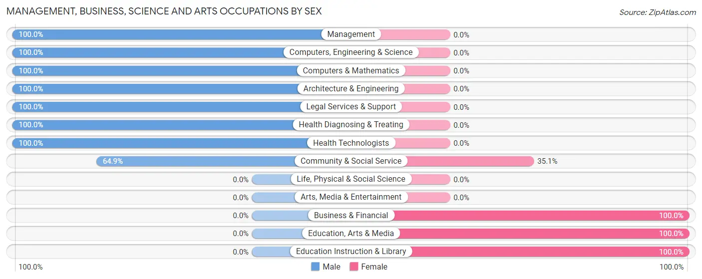 Management, Business, Science and Arts Occupations by Sex in Zip Code 24328