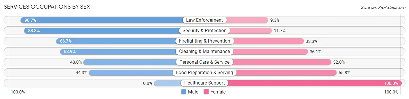 Services Occupations by Sex in Zip Code 24340