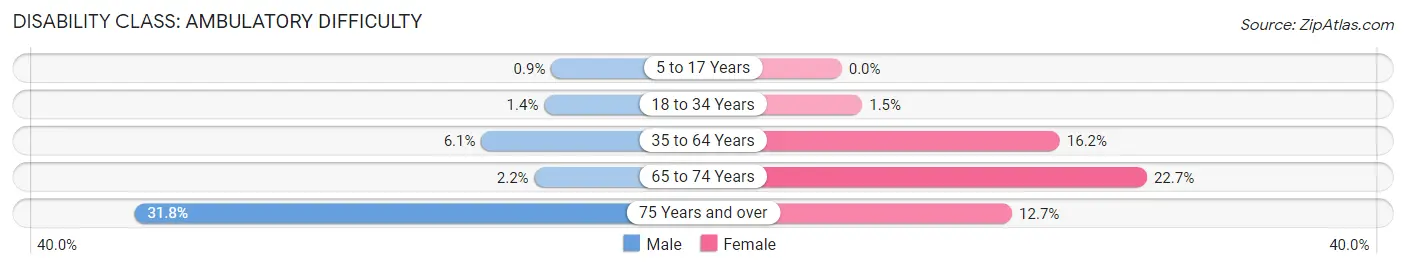 Disability in Zip Code 24348: <span>Ambulatory Difficulty</span>