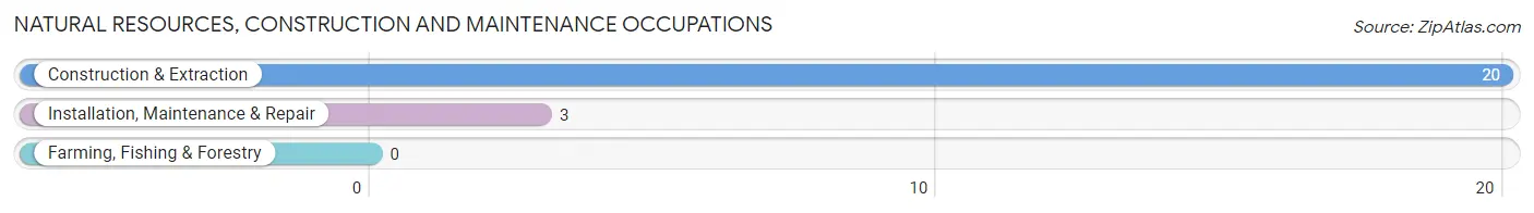 Natural Resources, Construction and Maintenance Occupations in Zip Code 24366