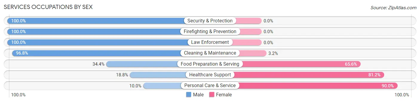 Services Occupations by Sex in Zip Code 24368