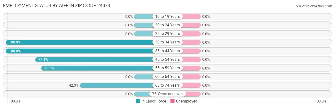 Employment Status by Age in Zip Code 24374