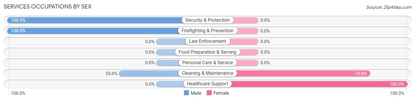 Services Occupations by Sex in Zip Code 24374