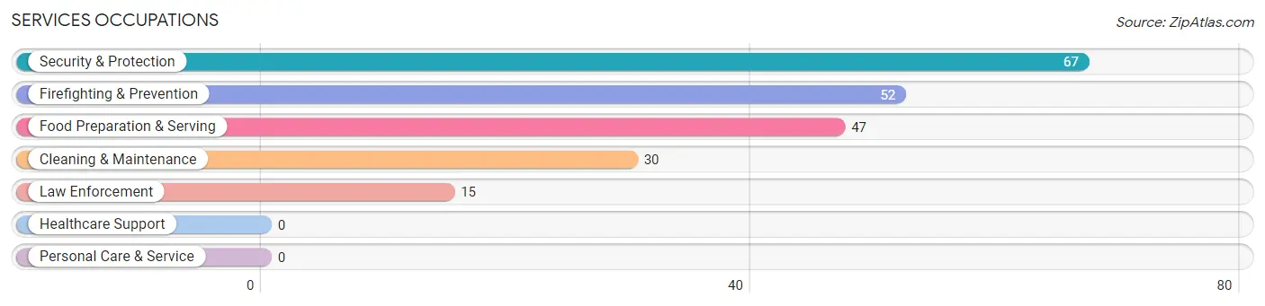 Services Occupations in Zip Code 24375