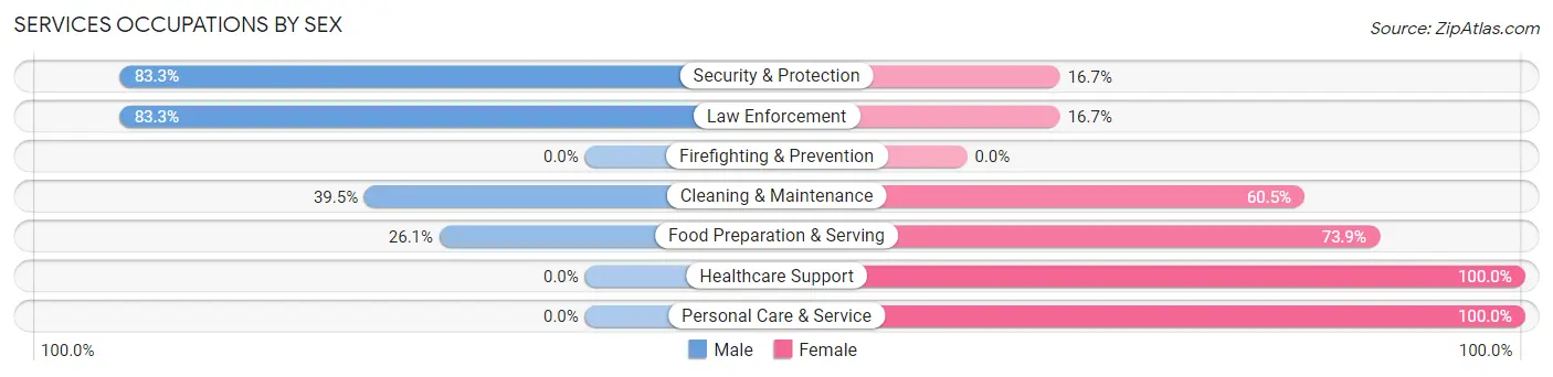 Services Occupations by Sex in Zip Code 24378