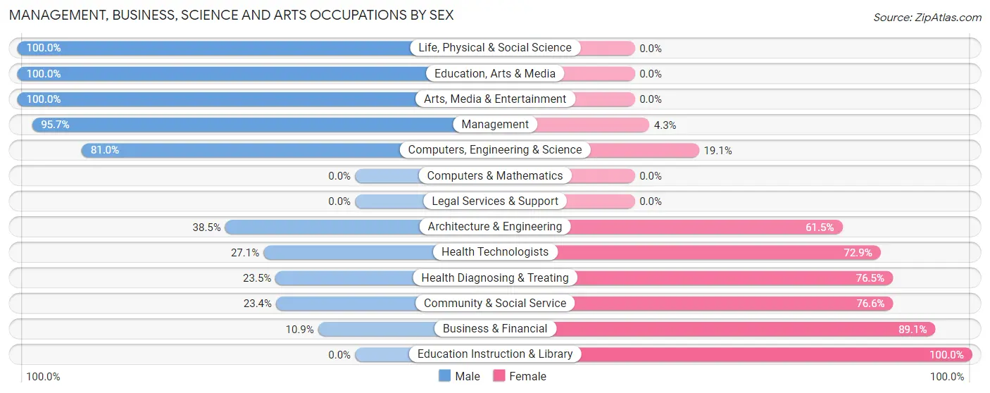 Management, Business, Science and Arts Occupations by Sex in Zip Code 24380