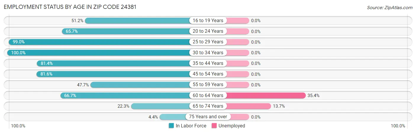 Employment Status by Age in Zip Code 24381