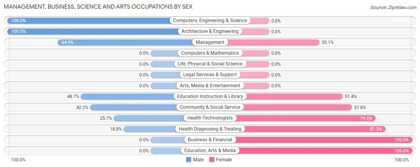 Management, Business, Science and Arts Occupations by Sex in Zip Code 24381