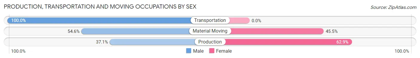 Production, Transportation and Moving Occupations by Sex in Zip Code 24381