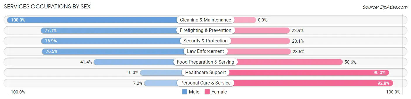 Services Occupations by Sex in Zip Code 24503