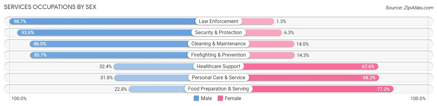 Services Occupations by Sex in Zip Code 24522