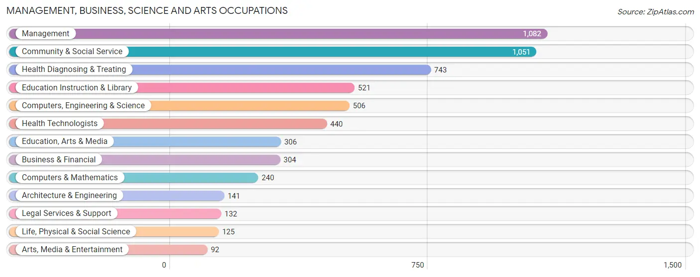 Management, Business, Science and Arts Occupations in Zip Code 24523