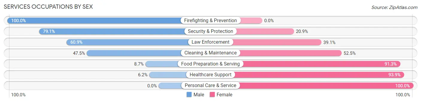 Services Occupations by Sex in Zip Code 24528
