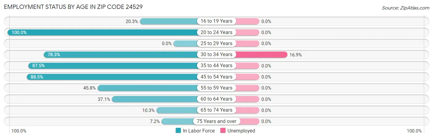 Employment Status by Age in Zip Code 24529