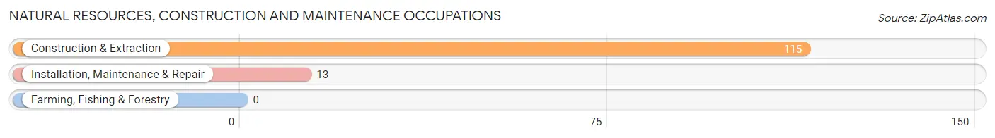 Natural Resources, Construction and Maintenance Occupations in Zip Code 24538