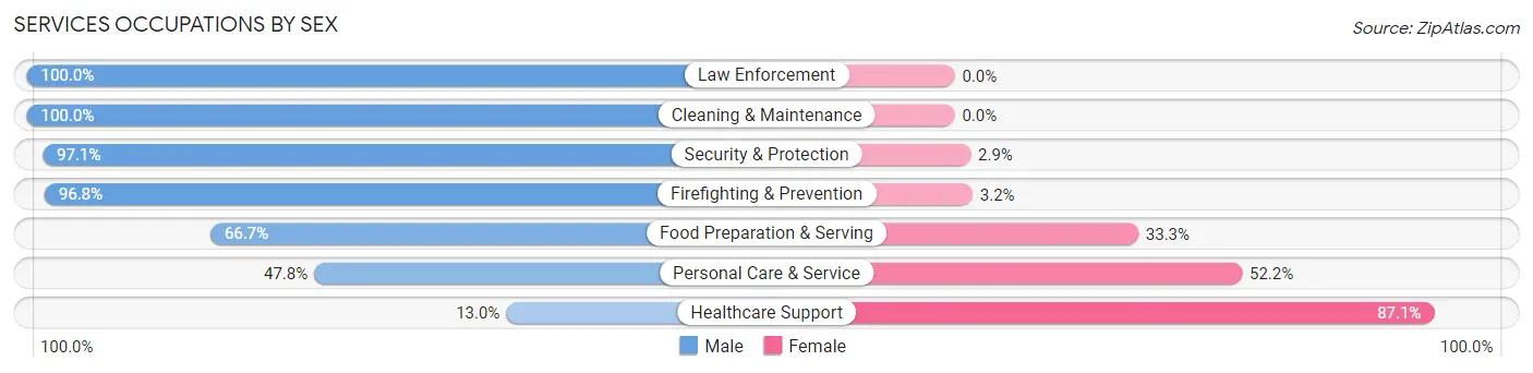 Services Occupations by Sex in Zip Code 24549