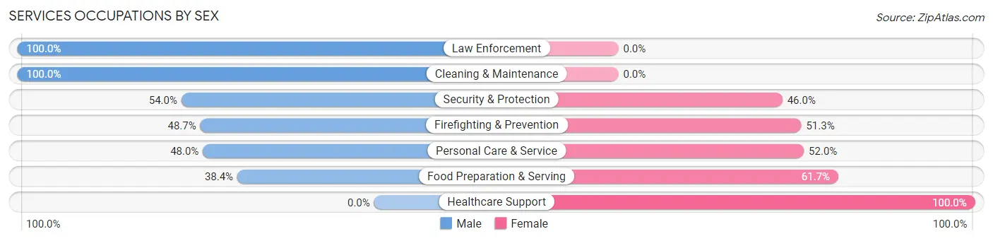 Services Occupations by Sex in Zip Code 24550