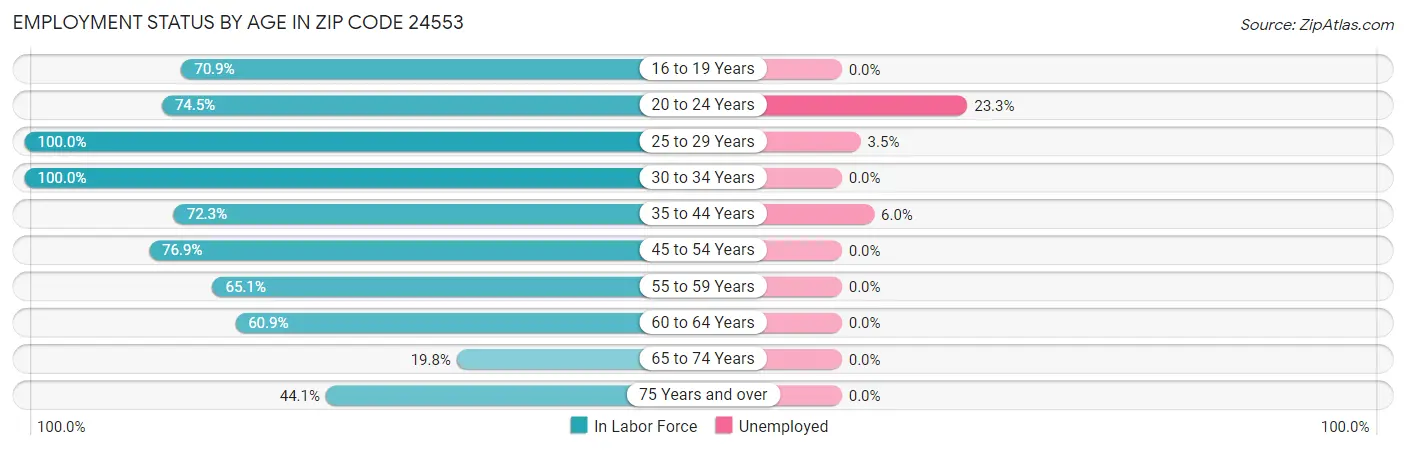 Employment Status by Age in Zip Code 24553