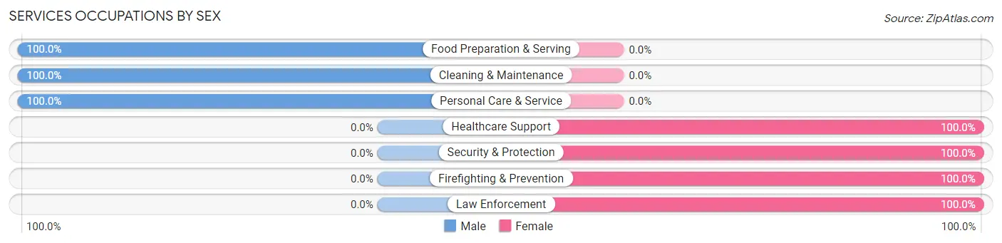 Services Occupations by Sex in Zip Code 24553