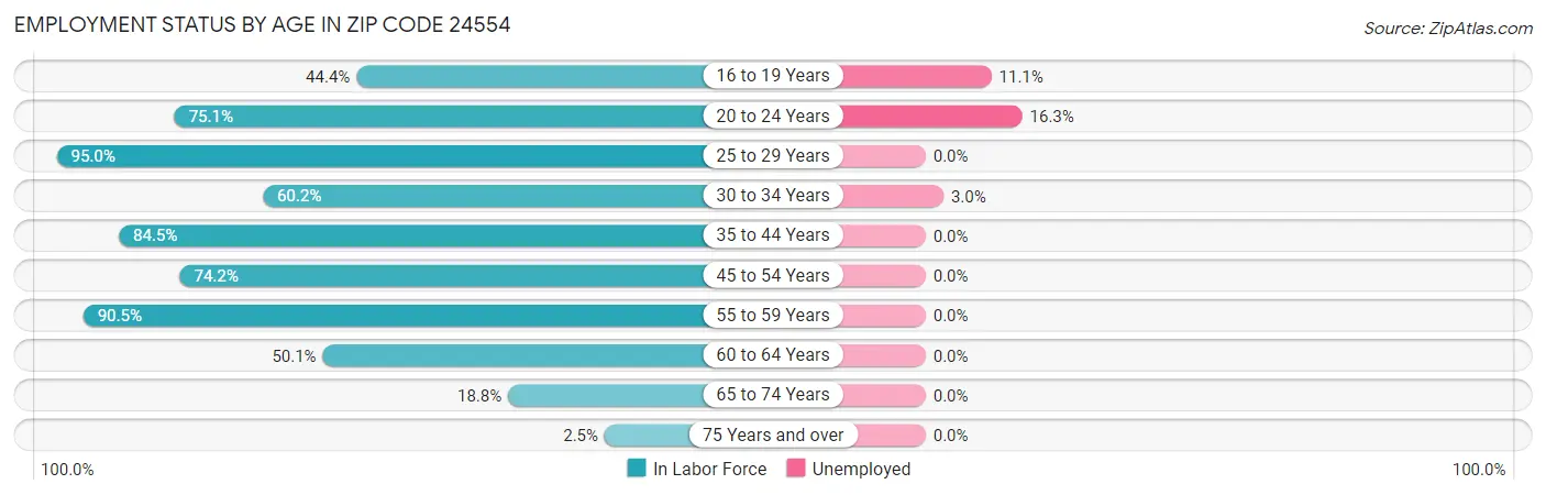 Employment Status by Age in Zip Code 24554