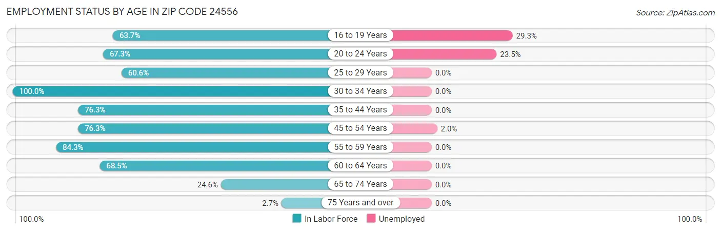 Employment Status by Age in Zip Code 24556
