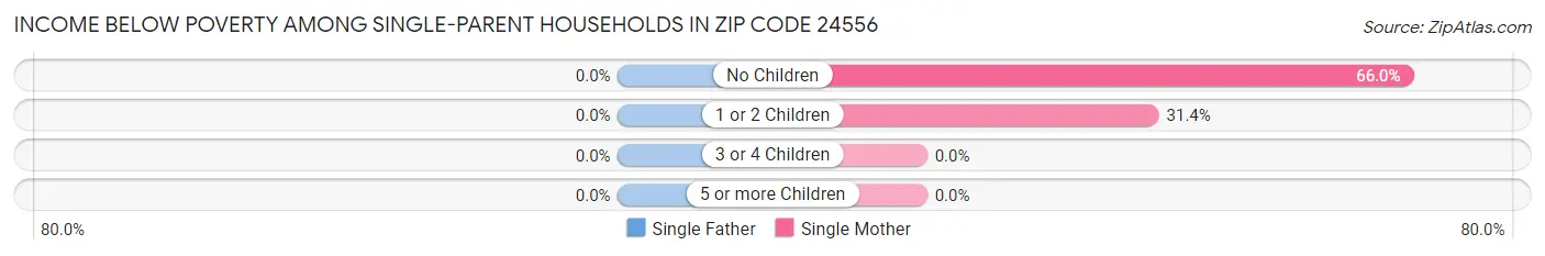 Income Below Poverty Among Single-Parent Households in Zip Code 24556
