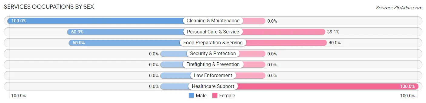 Services Occupations by Sex in Zip Code 24556