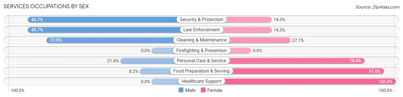 Services Occupations by Sex in Zip Code 24558