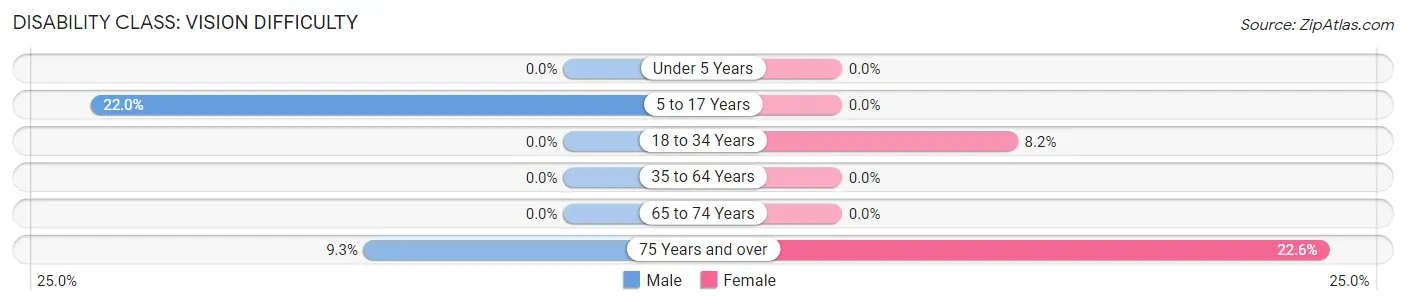 Disability in Zip Code 24566: <span>Vision Difficulty</span>