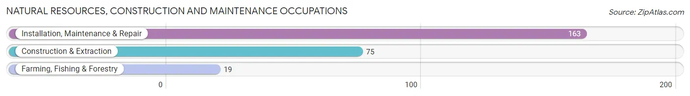 Natural Resources, Construction and Maintenance Occupations in Zip Code 24574