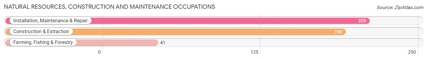 Natural Resources, Construction and Maintenance Occupations in Zip Code 24588