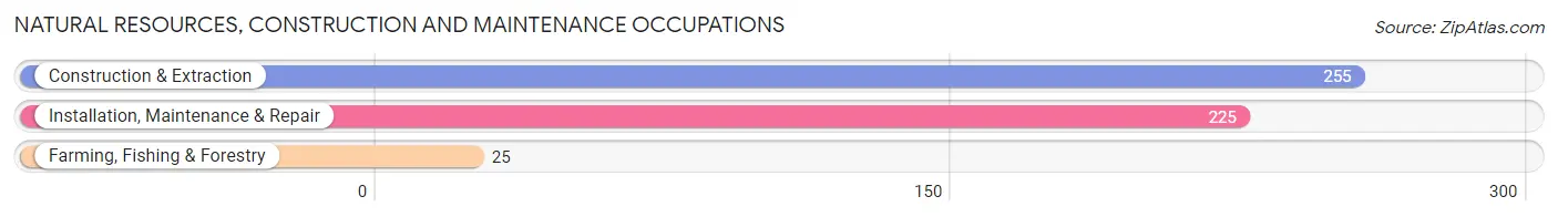 Natural Resources, Construction and Maintenance Occupations in Zip Code 24590