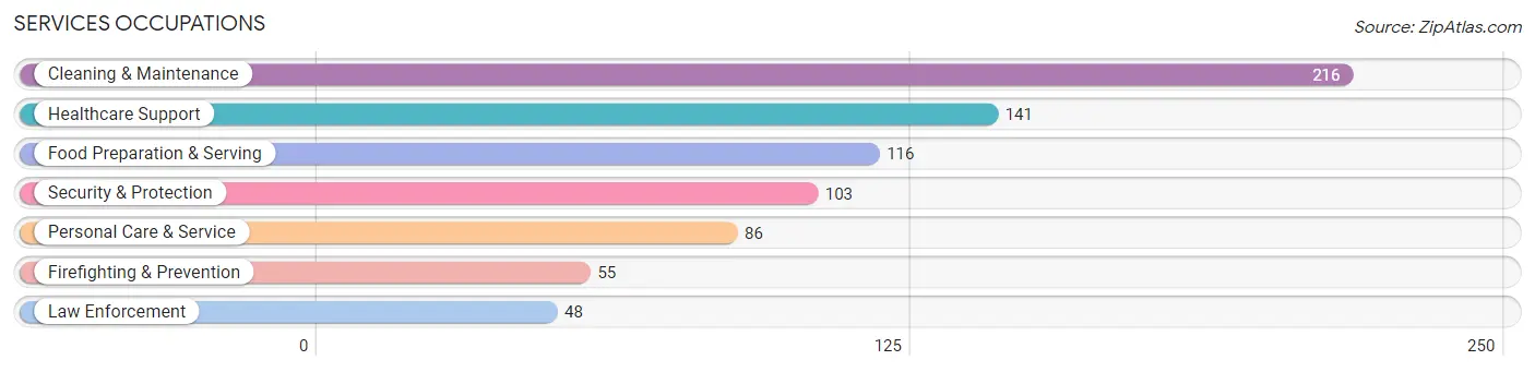 Services Occupations in Zip Code 24590