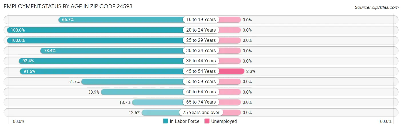 Employment Status by Age in Zip Code 24593