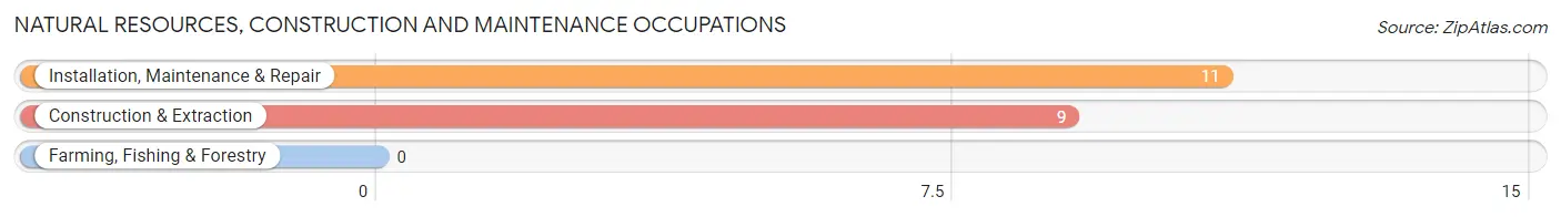 Natural Resources, Construction and Maintenance Occupations in Zip Code 24597