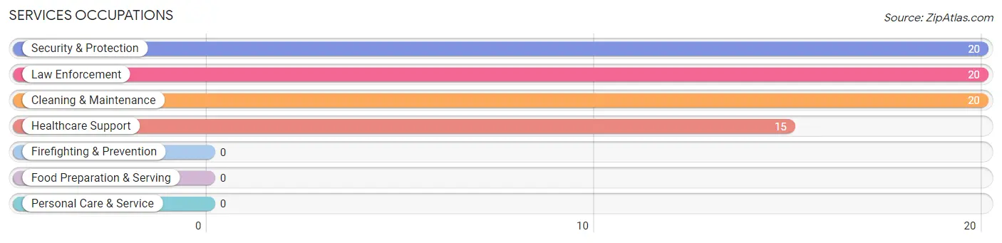 Services Occupations in Zip Code 24597